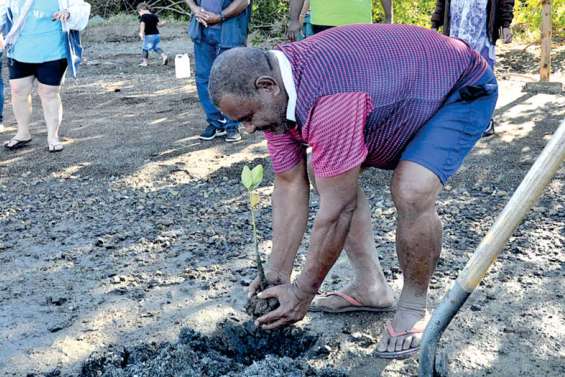 Le sentier de la mangrove Boa Délec a été inauguré