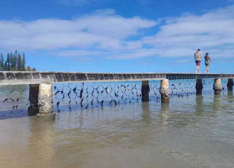 La barrière anti-requins se profile à la plage du Château Royal