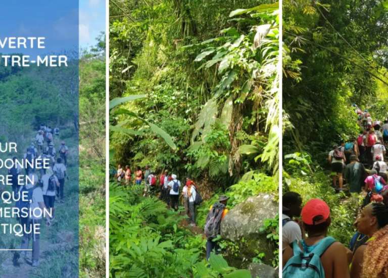 [MAGAZINE] A la découverte des outre-mer : zoom sur la randonnée pédestre en Martinique, immersion authentique et levier touristique important