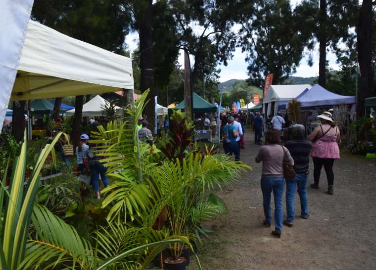 Les événements sur le domaine public annulés : le Salon nature et jardin et le marché du parc Fayard