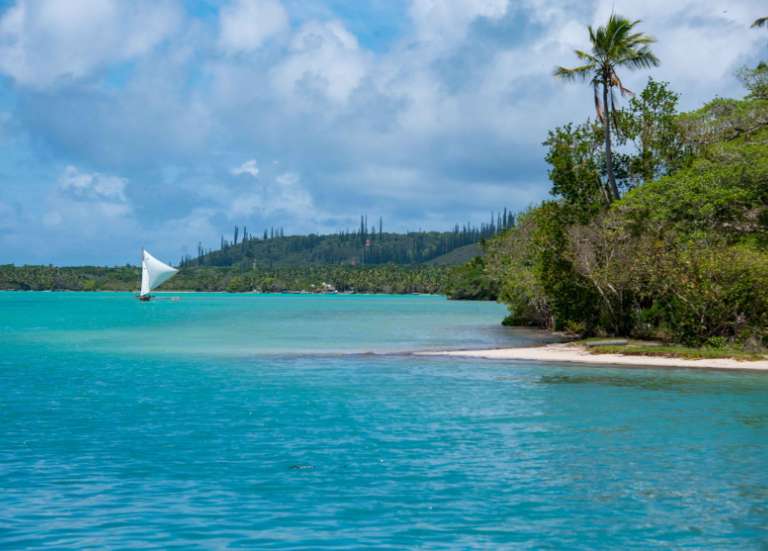 Les coutumiers de l’île des Pins travaillent à une 