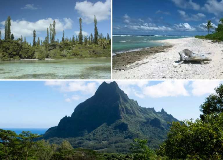 165 millions de francs pour la biodiversité dans le Pacifique, notamment en Calédonie