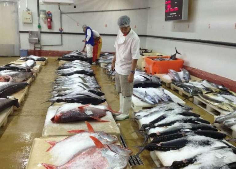 Polynésie : Faut-il relancer la criée au port de pêche de Papeete ?