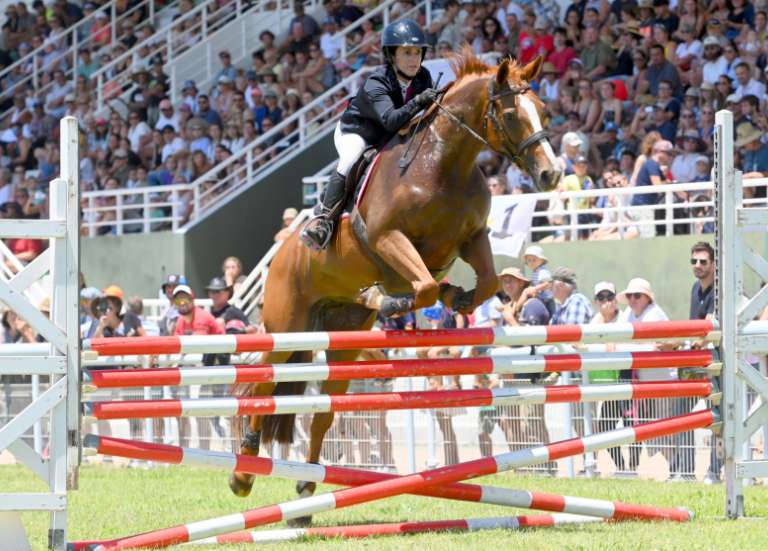 Royal Caledonia Show, un gendarme blessé au Mont-Dore, Noël à Boulari… Les infos à retenir du week-end