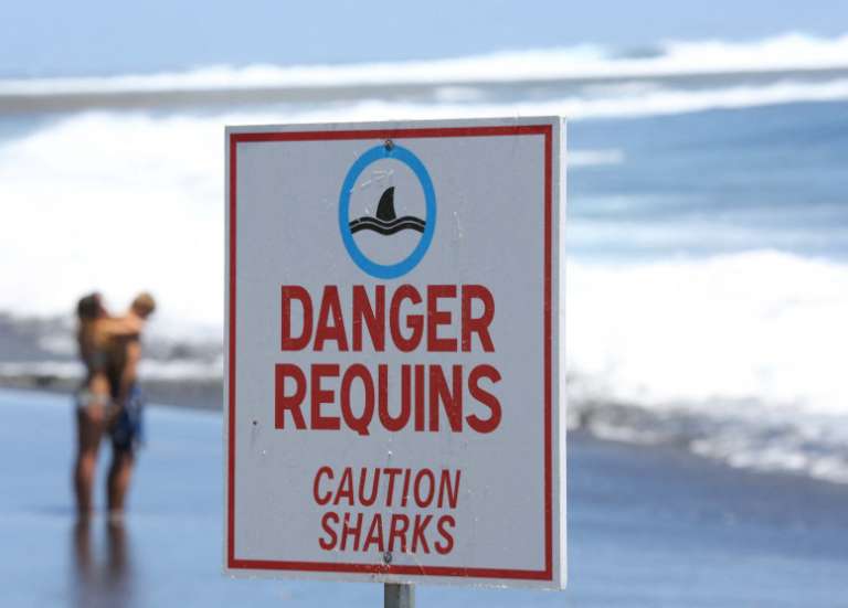 Australie : un surfeur disparu en mer, probablement victime d’une attaque de requin