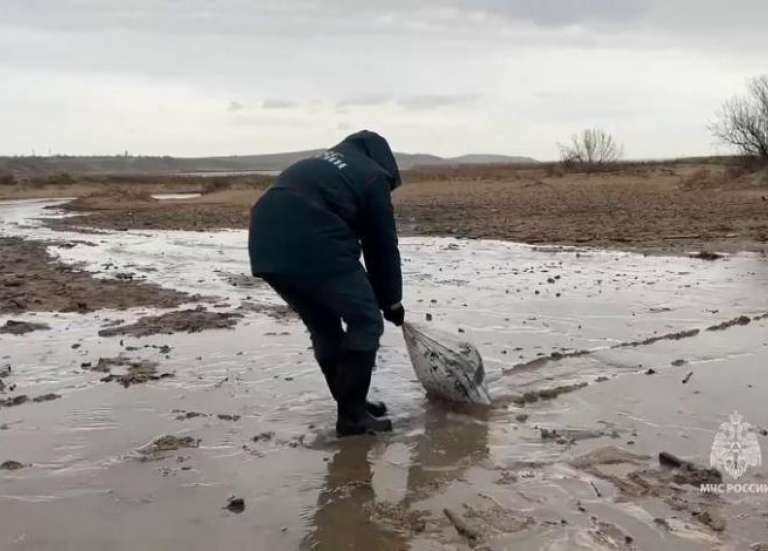 La marée noire en Russie et Crimée continue de s’étendre