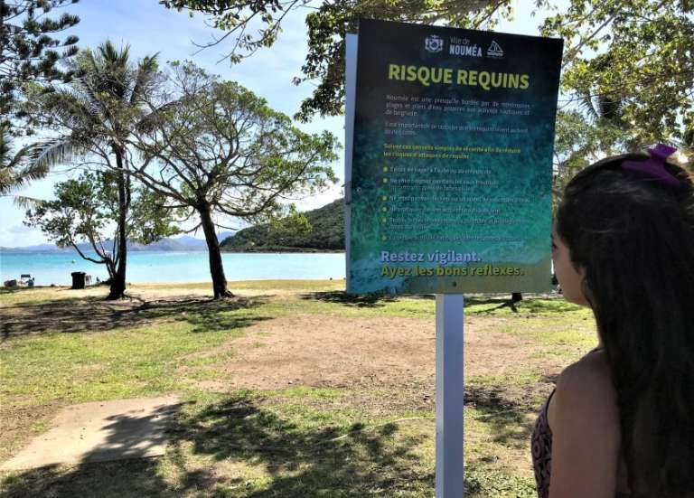 Un homme qui faisait du paddle attaqué par un requin au large de Nouville