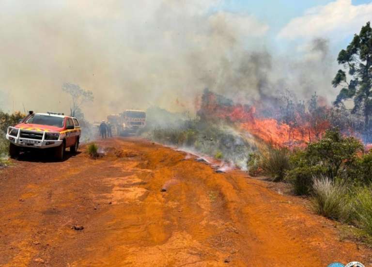 Après douze jours de lutte, le feu de Prony enfin maîtrisé