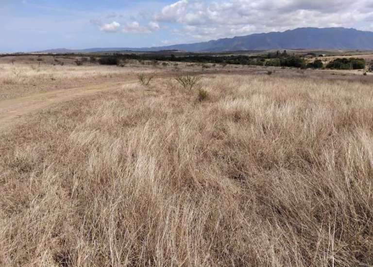 Pourquoi faut-il s’inquiéter des conséquences du réchauffement climatique en Nouvelle-Calédonie ?