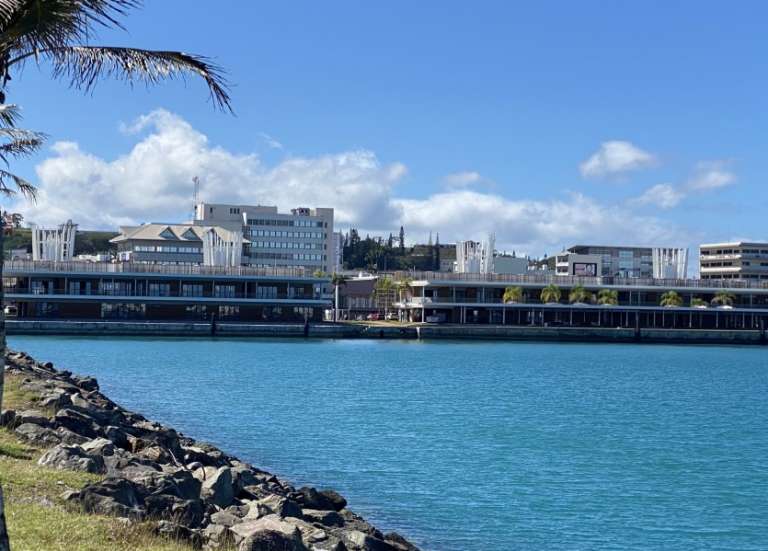 Grand marché aux quais Ferry, le retour du vide-greniers de la place des Cocotiers… L’agenda du 29 janvier au 4 février